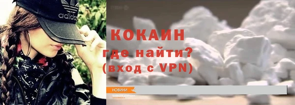 прущие грибы Балахна