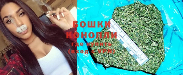 прущие грибы Балахна