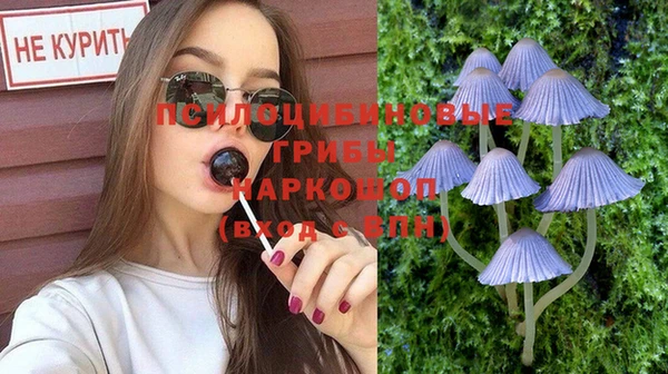 прущие грибы Балахна