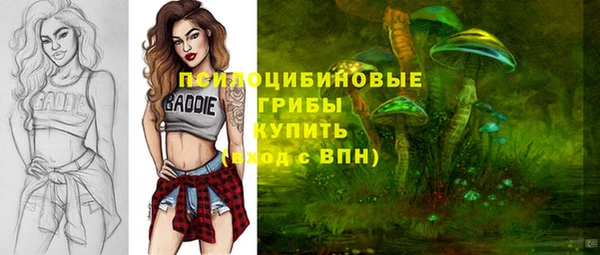 герыч Арсеньев